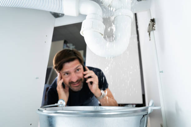 Best Leak Detection Services  in Central City, IL